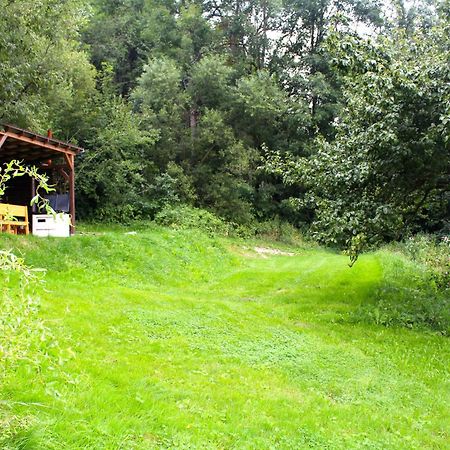 Ve Stodole Villa Zlata Olesnice  Екстериор снимка
